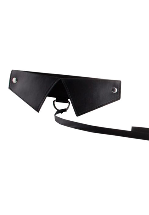 Ouch! Exclusive Collar & Leash