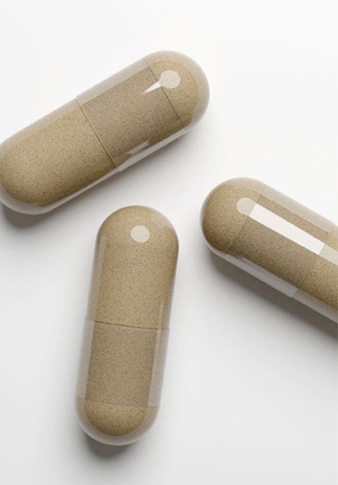 Golden Erect 8-pack